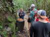 1323 - 20241204 Kauai Kayak Waterfall Google