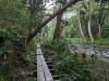 1331 - 20241204 Kauai Kayak Waterfall Google