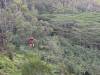 1544 - 20241204 Kauai Koloa Zipline Google