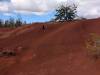 1624 - 20241204 Kauai Wailmea Canyon Google