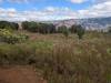 1642 - 20241204 Kauai Wailmea Canyon Google