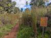 1648 - 20241204 Kauai Wailmea Canyon Google