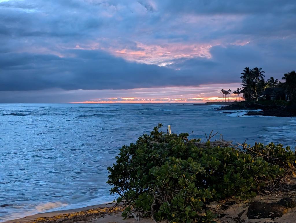 1282 - 20241204 Kauai Google