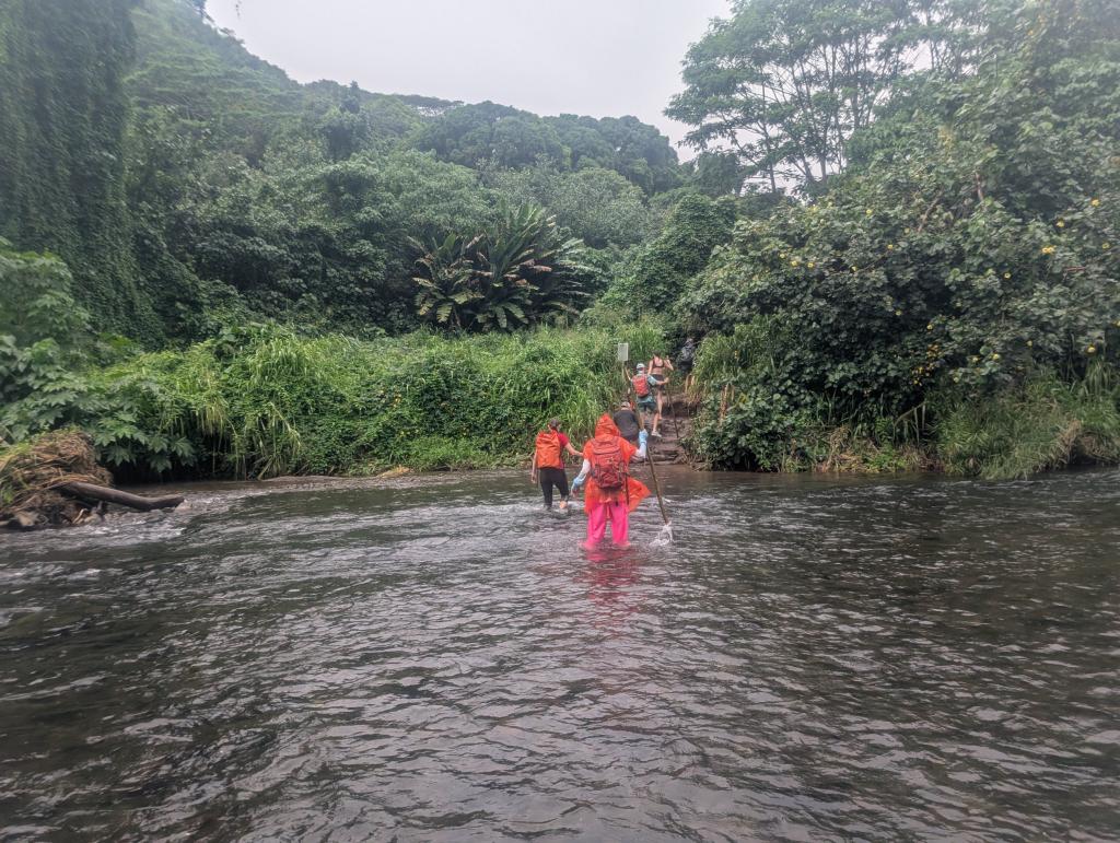 1311 - 20241204 Kauai Kayak Waterfall Google