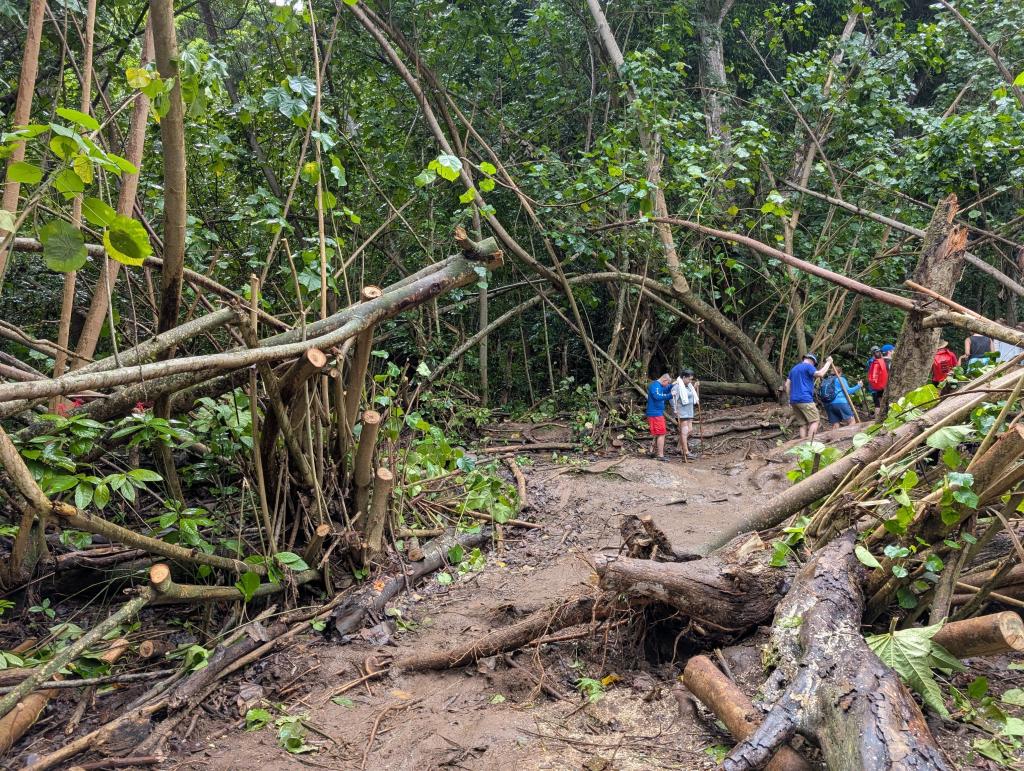 1320 - 20241204 Kauai Kayak Waterfall Google