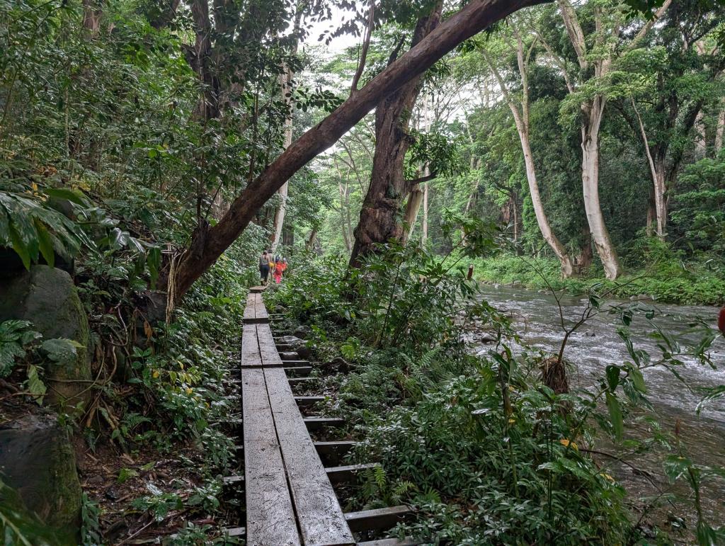 1331 - 20241204 Kauai Kayak Waterfall Google