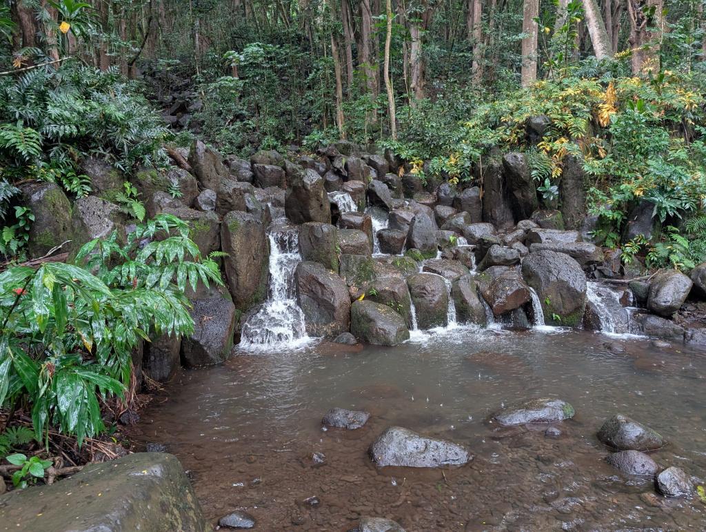 1332 - 20241204 Kauai Kayak Waterfall Google