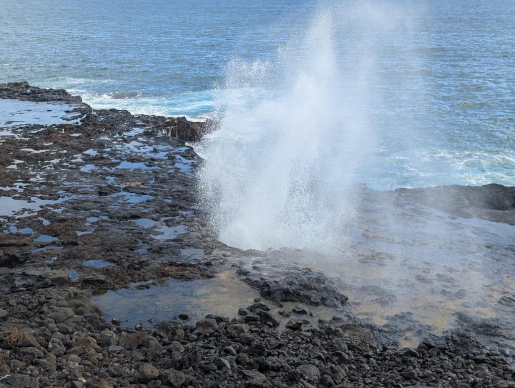 1512 - 20241204 Kauai Google