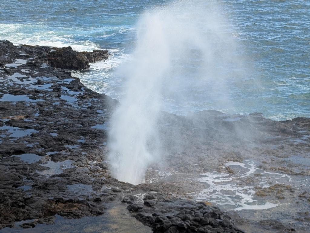 1514 - 20241204 Kauai Google