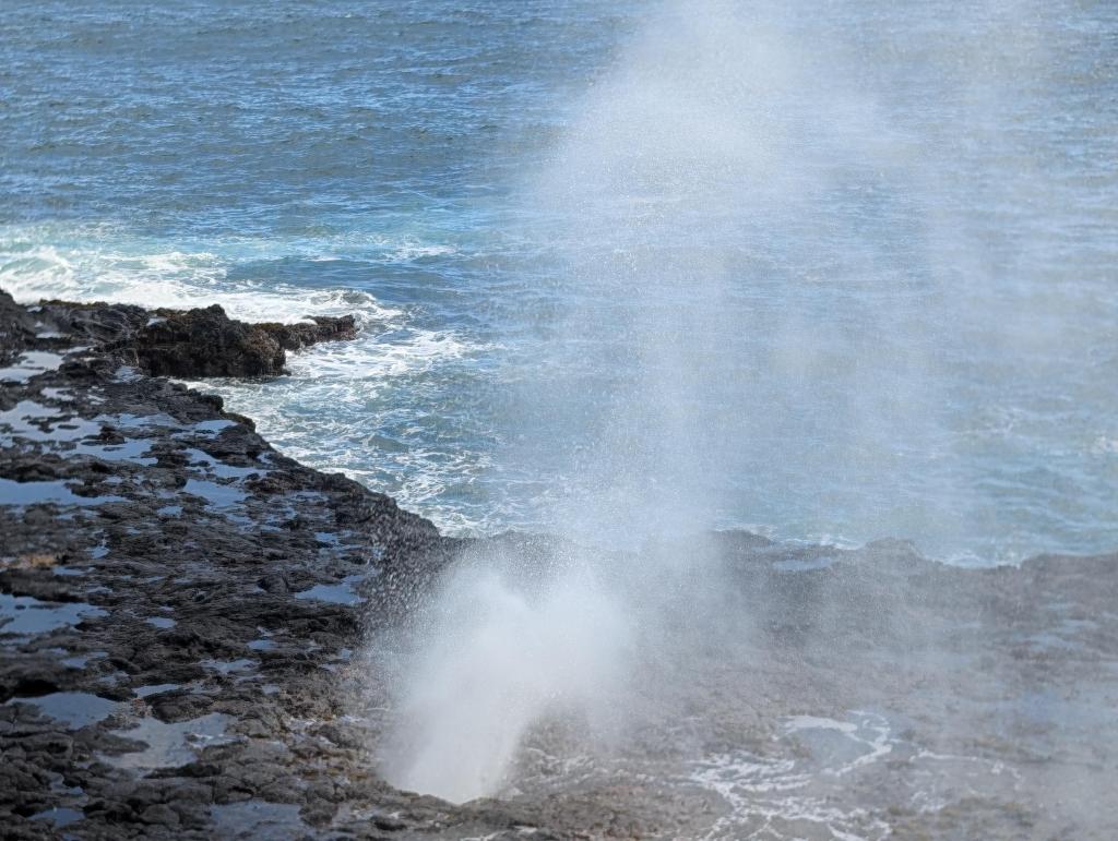 1515 - 20241204 Kauai Google