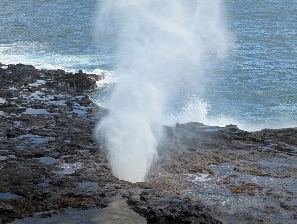 1519 - 20241204 Kauai Google