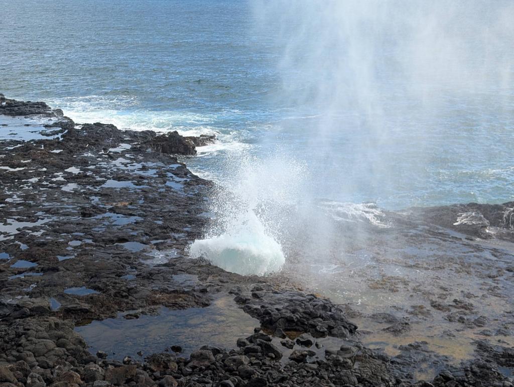 1520 - 20241204 Kauai Google