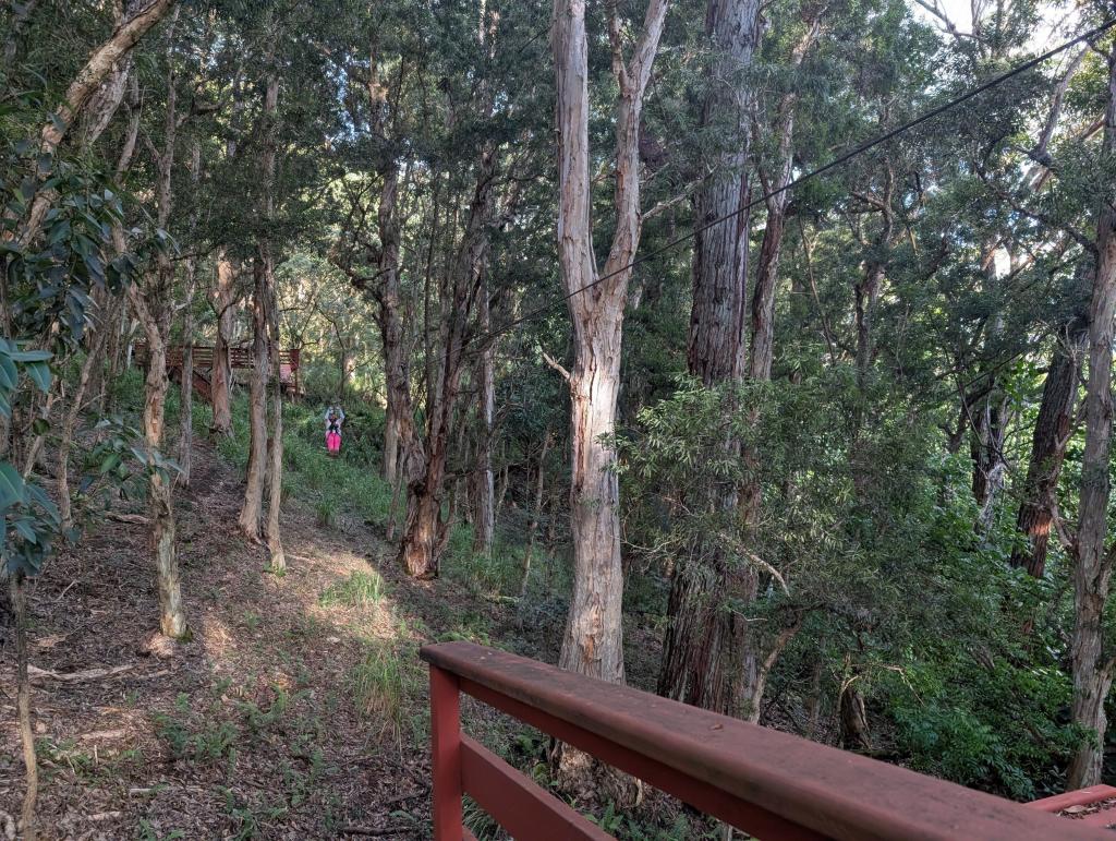 1533 - 20241204 Kauai Koloa Zipline Google