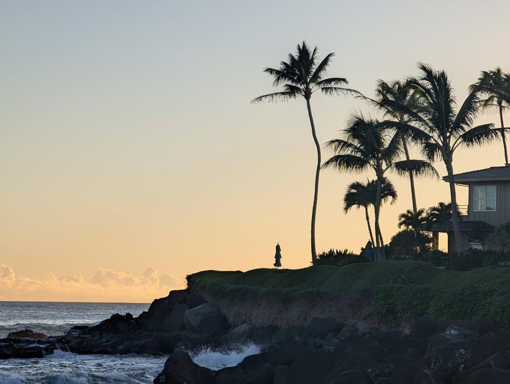 1574 - 20241204 Kauai Google