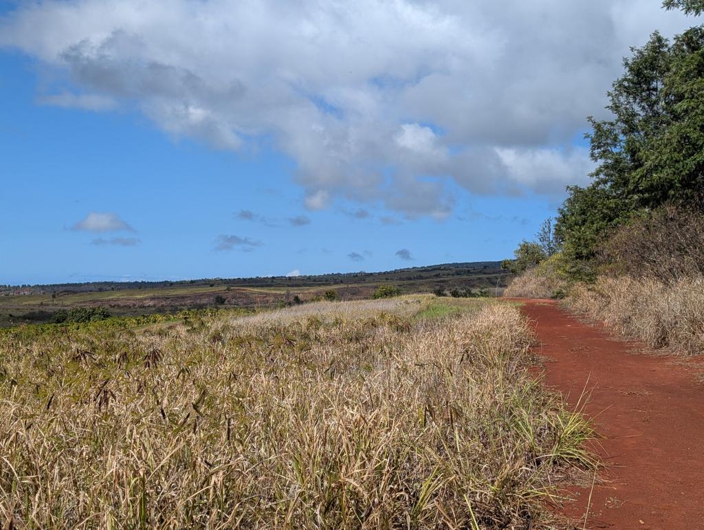 1620 - 20241204 Kauai Wailmea Canyon Google