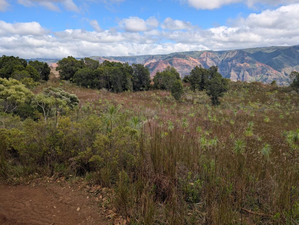 1642 - 20241204 Kauai Wailmea Canyon Google