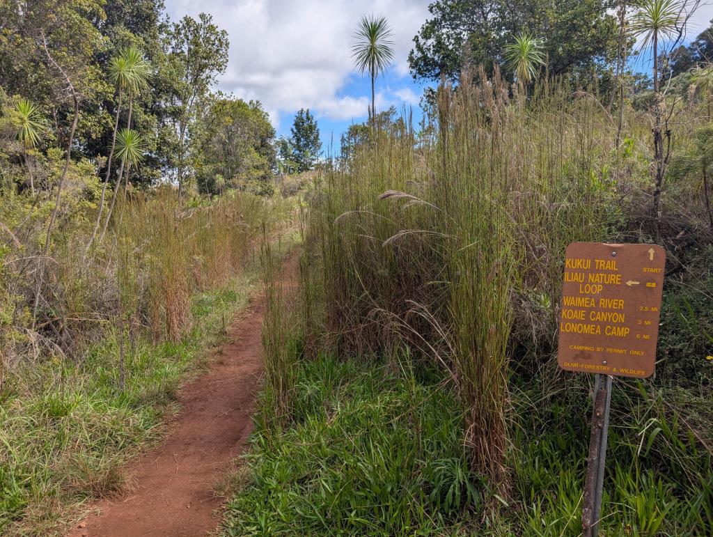 1648 - 20241204 Kauai Wailmea Canyon Google