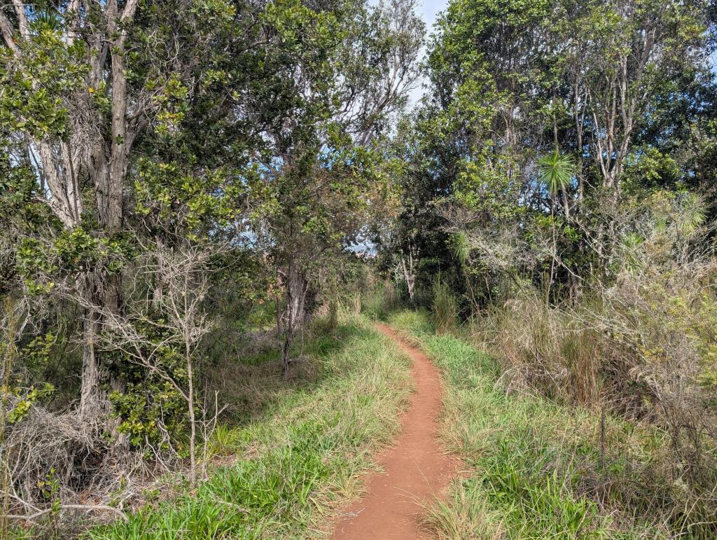 1649 - 20241204 Kauai Wailmea Canyon Google