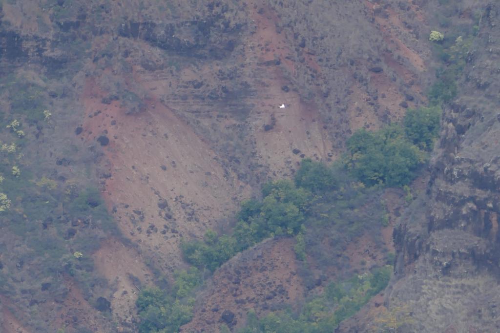 1662 - 20241204 Kauai Wailmea Canyon Panasonic