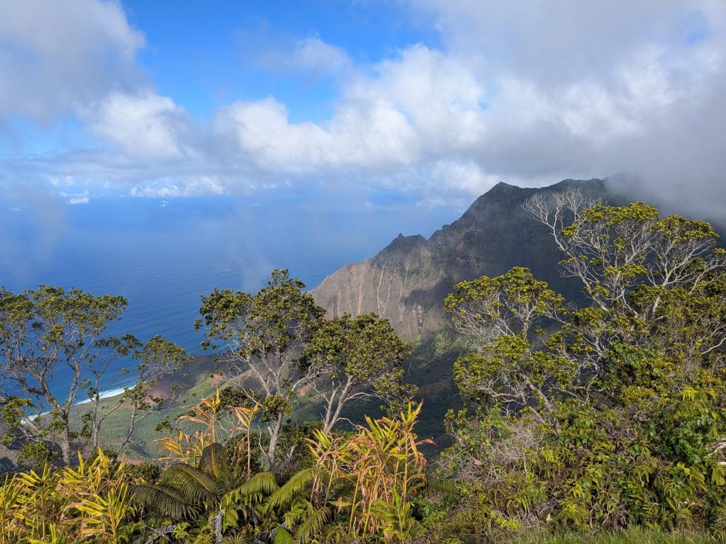 1684 - 20241204 Kauai Wailmea Canyon Google