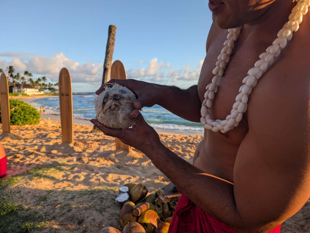 1734 - 20241204 Kauai Sheraton Luau Google