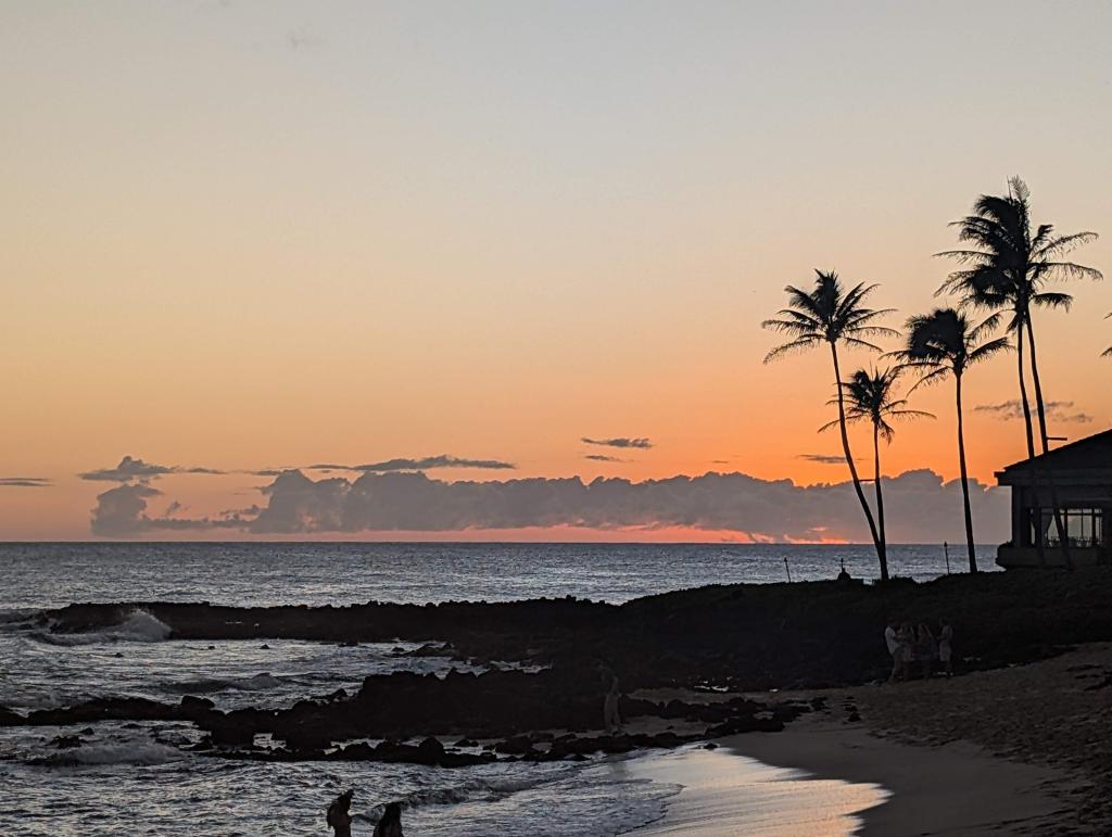 1745 - 20241204 Kauai Sheraton Luau Google