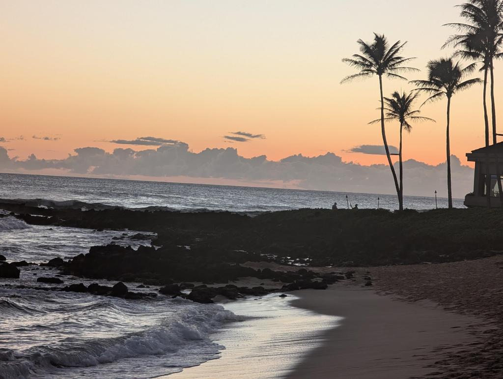 1751 - 20241204 Kauai Sheraton Luau Google