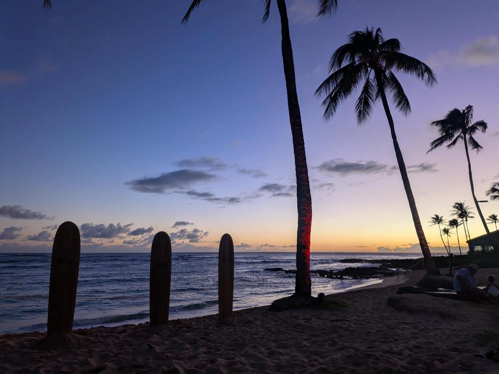 1754 - 20241204 Kauai Sheraton Luau Google