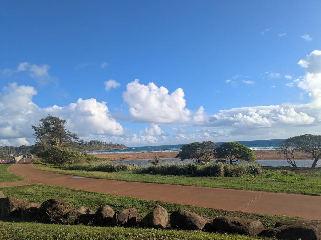 1785 - 20241204 Kauai Google