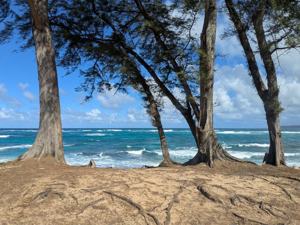 1870 - 20241204 Kauai Google