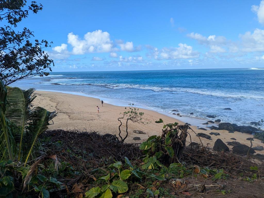 1912 - 20241204 Kauai Google