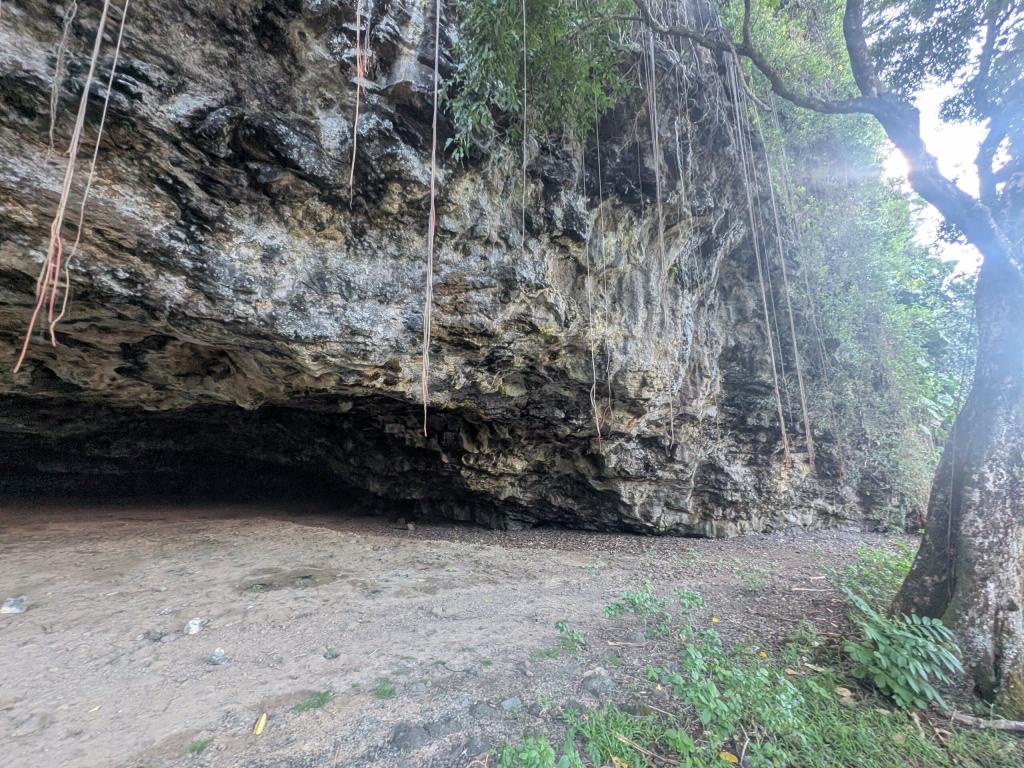 1916 - 20241204 Kauai Google