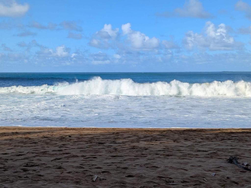 1929 - 20241204 Kauai Google