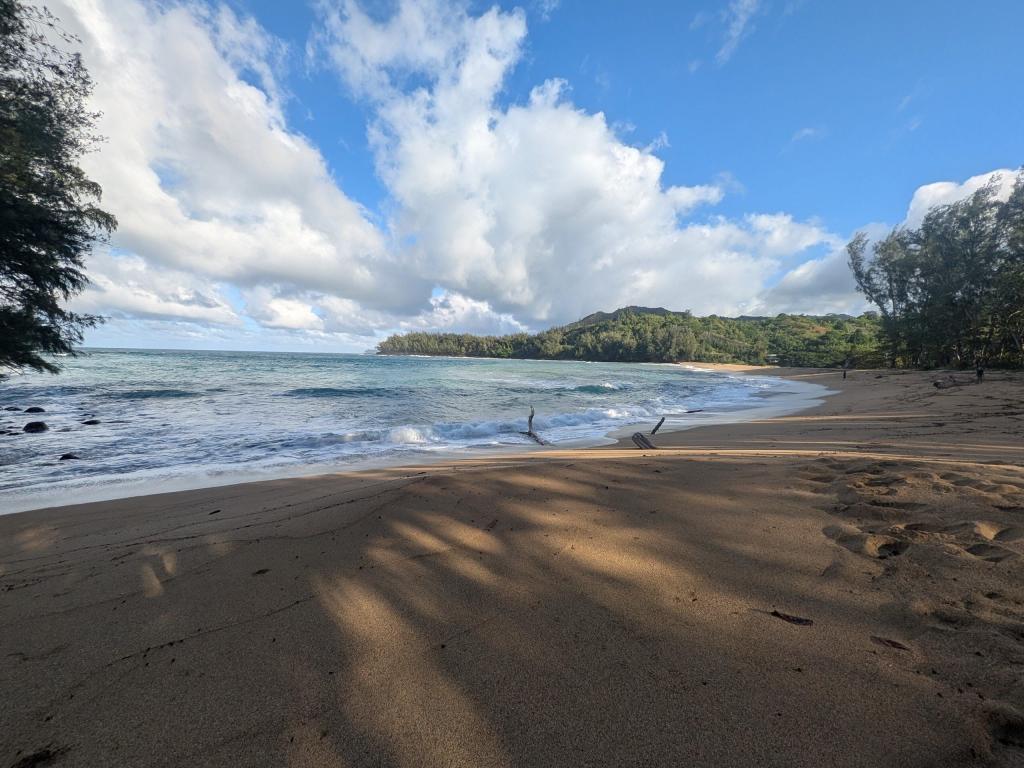 1941 - 20241204 Kauai Google