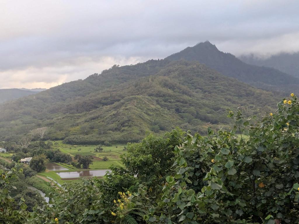 1955 - 20241204 Kauai Google