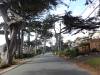 180 - 20210813 Salinas AutoX Carmel By The Sea