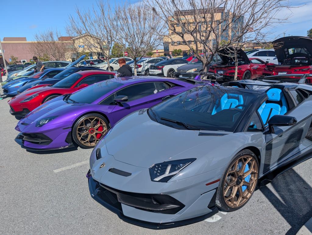 135 - 20250301 Auto Vino