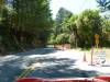105 - 20100706 Skyline Davenport Redwoods Drive