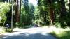 119 - 20100706 Skyline Davenport Redwoods Drive