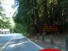 141 - 20100706 Skyline Davenport Redwoods Drive