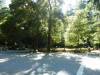 142 - 20100706 Skyline Davenport Redwoods Drive