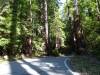 148 - 20100706 Skyline Davenport Redwoods Drive