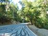 149 - 20100706 Skyline Davenport Redwoods Drive
