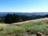 152 - 20100706 Skyline Davenport Redwoods Drive