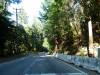 153 - 20100706 Skyline Davenport Redwoods Drive
