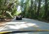 257 - Skyline Drive