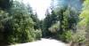 261 - Skyline Drive