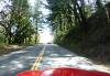 262 - Skyline Drive