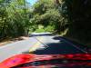 105 - 20120705 Skyline Redwoods Pescadero Drive