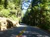 108 - 20120705 Skyline Redwoods Pescadero Drive
